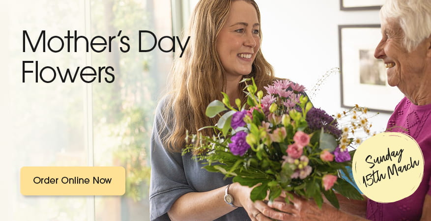 Seasonal bouquets from Bloomin Lovely in Wellington offering same-day delivery