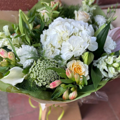 Cloud Nine - A soft and serene arrangement of white hydrangeas, peach roses, calla lilies, and lisianthus, finished with elegant foliage. Ideal for sympathy, weddings, or new beginnings.